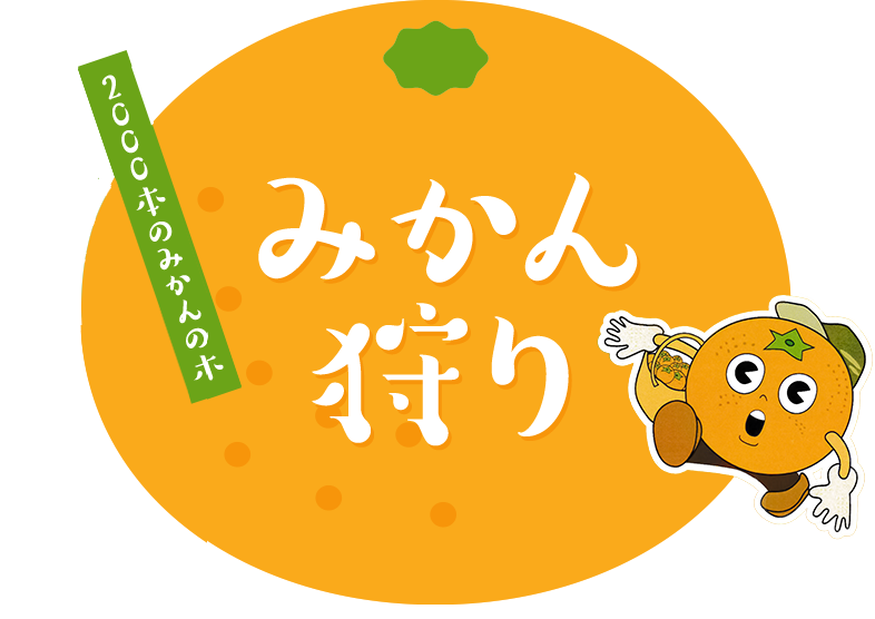 久山園のみかん狩り