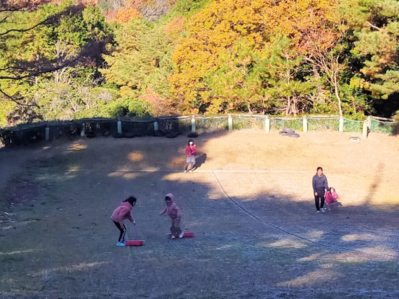 園内で草スキーもできます！